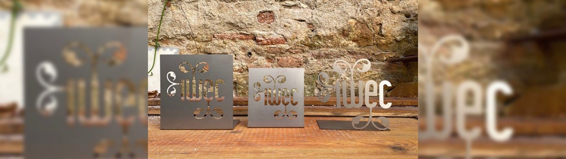 IWEC Foundation Announces 2024 Awardees Who Will Receive Their Awards at the 17th Annual Conference in Barcelona Feb. 9th (Ceremony postponed from last fall)